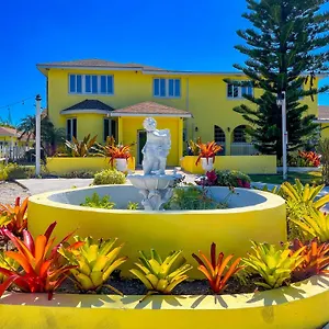Golden Palms House Bed and breakfast